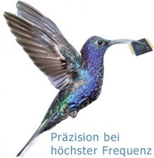 Kolibri